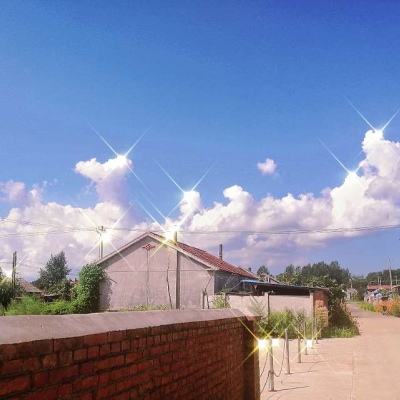 乐鱼手机app下载